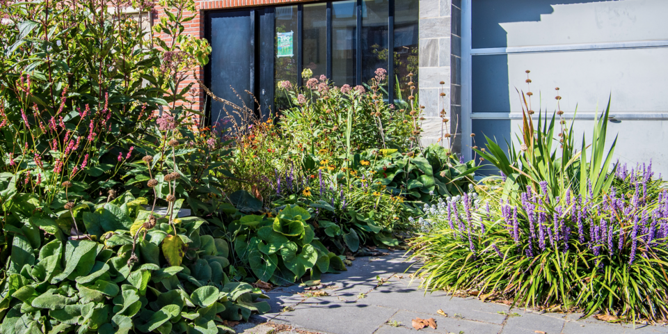 oprit met planten